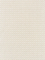 Scalamandre Floret Embroidery Champagne Fabric