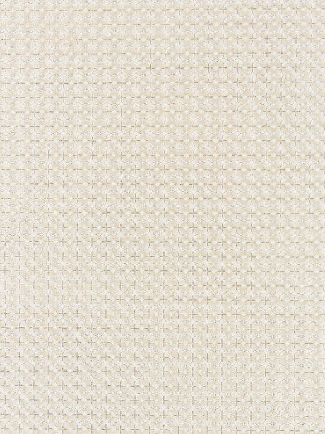 Scalamandre Floret Embroidery Champagne Fabric