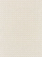Scalamandre Floret Embroidery Champagne Fabric
