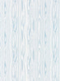 Scalamandre Faux Bois Weave Blue Ice Fabric