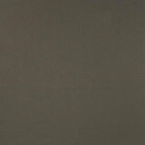Kasmir Cavallis Graphite Fabric