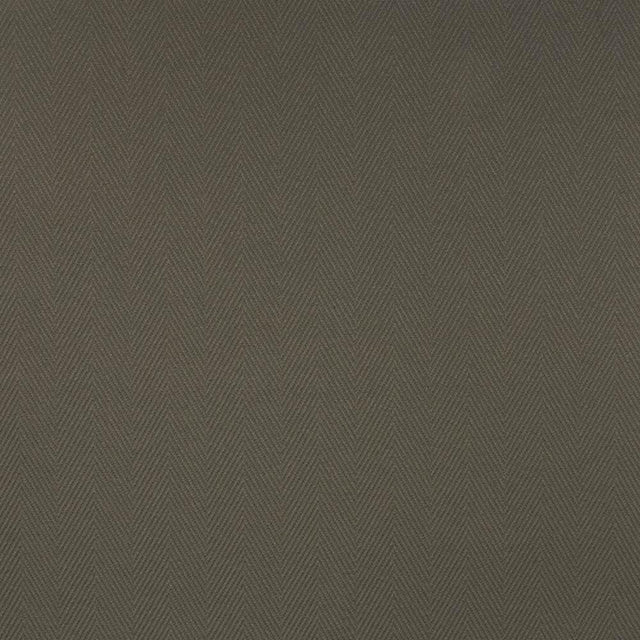 Kasmir Cavallis Graphite Fabric