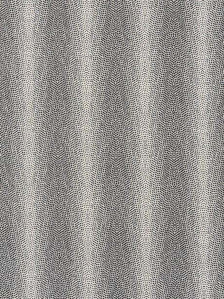 Scalamandre Despres Weave Charcoal Fabric