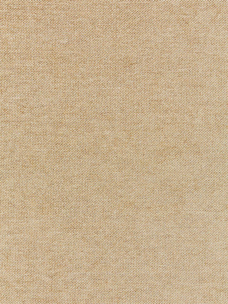 Scalamandre Luna Weave Champagne Fabric