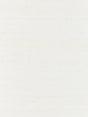 Scalamandre Tussah Sheer Ivory Fabric