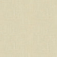 Kravet PARIS CLOTH CLOUD Fabric