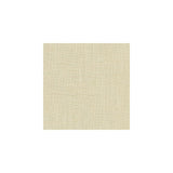 Kravet Paris Cloth Cloud Fabric