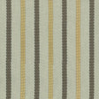 Kasmir Celtic Stripe Porcelain Fabric