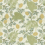 Kravet INDAGE ALOE Fabric