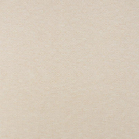 Schumacher Anderson Bamboo Fabric