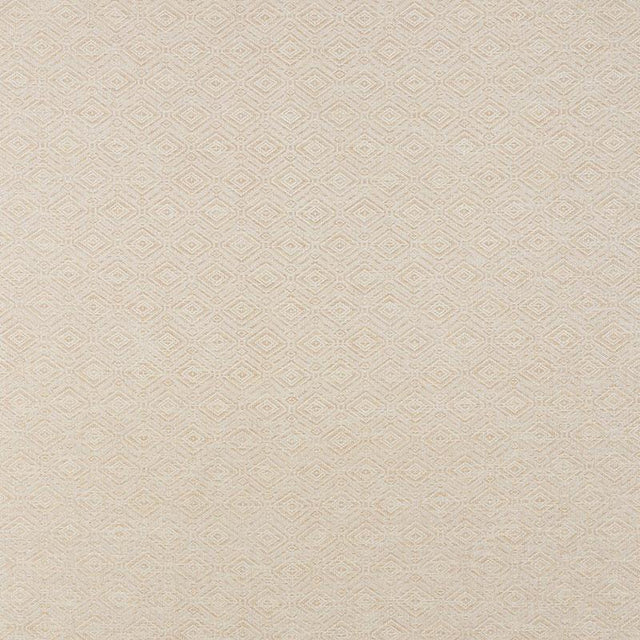 Schumacher Anderson Bamboo Fabric