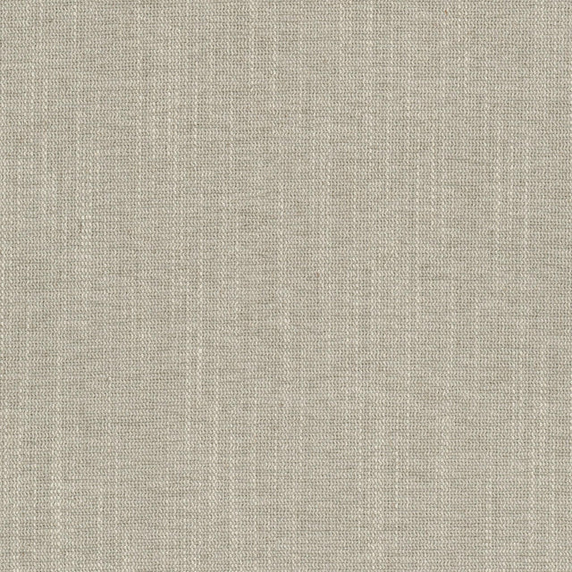 Stout BENSON HEMP Fabric