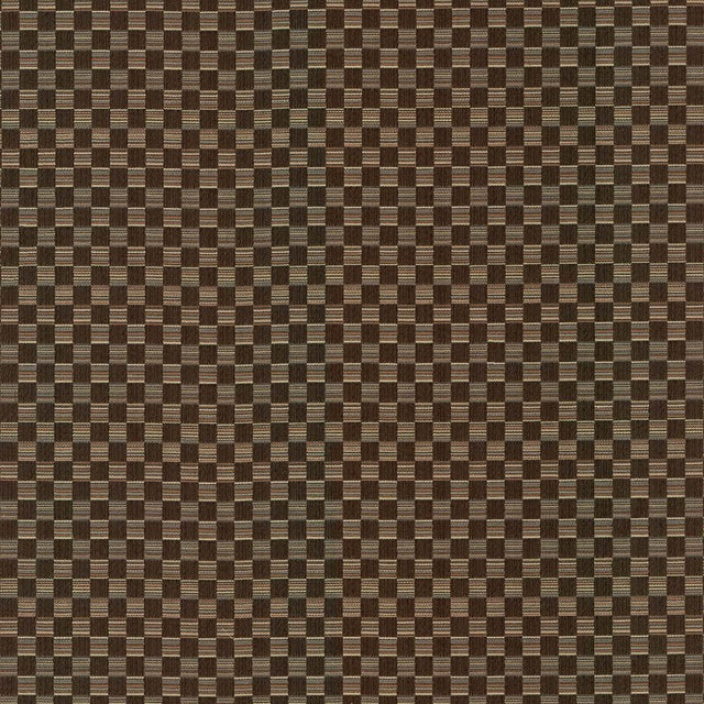 Kasmir Check This Out Chocolate Fabric