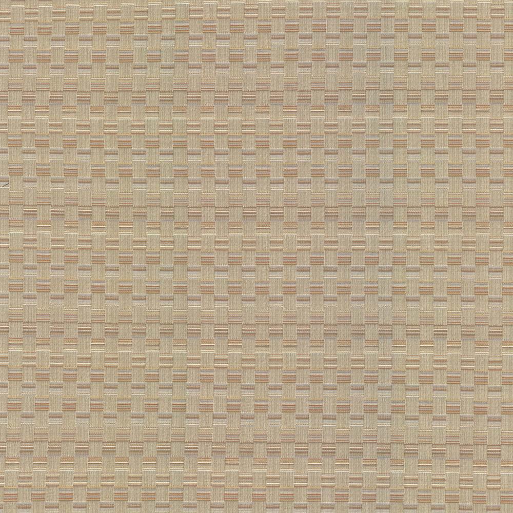 Kasmir Check This Out Haze Fabric