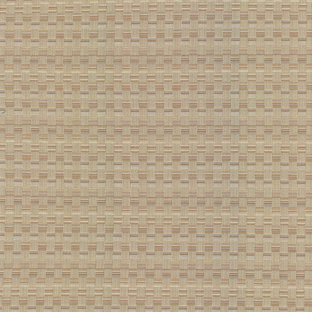 Kasmir Check This Out Haze Fabric