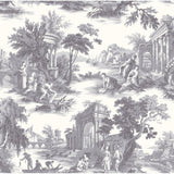 Cole & Son VILLANDRY CHARCOAL Wallpaper