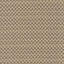 Kasmir Check This Out Latte Fabric