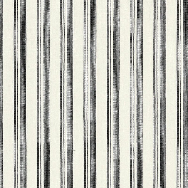 Schumacher Capri Black/White Fabric