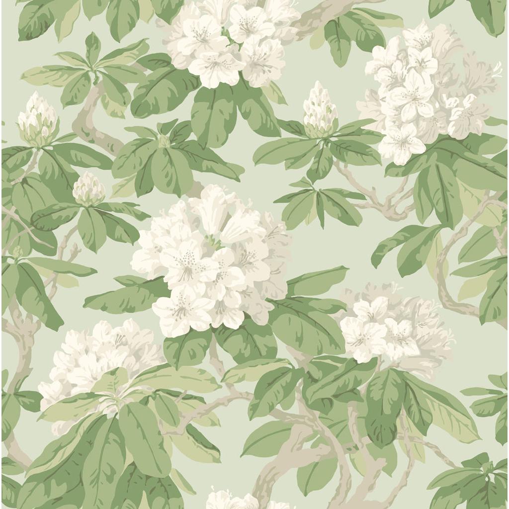 Cole & Son Bourlie Duck Egg Wallpaper