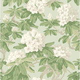 Cole & Son BOURLIE DUCK EGG Wallpaper