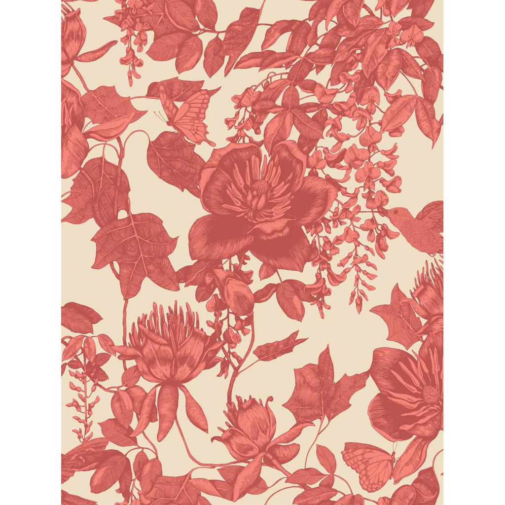 Cole & Son TIVOLI CORAL Wallpaper