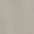 Schumacher Giorgio Sheer Platinum Fabric