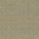 Kasmir Chignon Grassland Fabric
