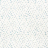 Schumacher Endimione Sky Fabric