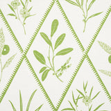 Schumacher Endimione Leaf Fabric