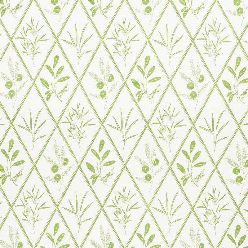 Schumacher Endimione Leaf Fabric