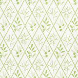 Schumacher Endimione Leaf Fabric