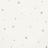 Schumacher Calisto Ivory & Black Fabric