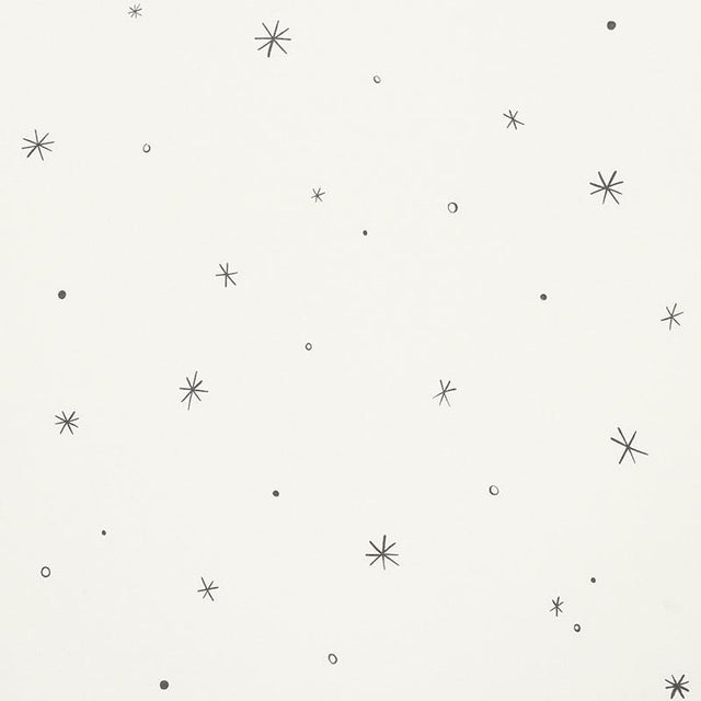 Schumacher Calisto Ivory & Black Fabric