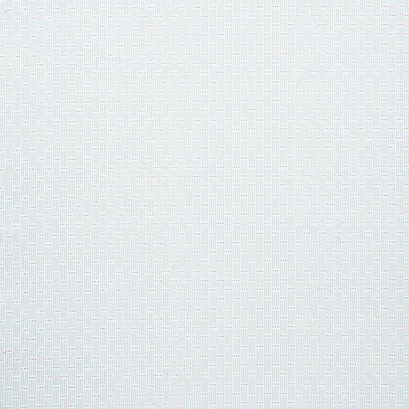 Schumacher Dotted Stripe Sky Fabric