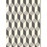 Cole & Son Delano Grey And Black Wallpaper