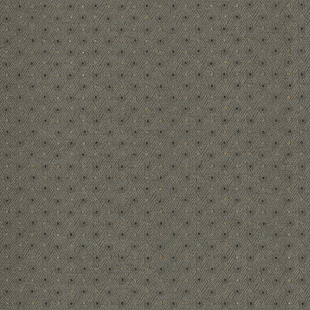 Kasmir Chiseled Dove Fabric