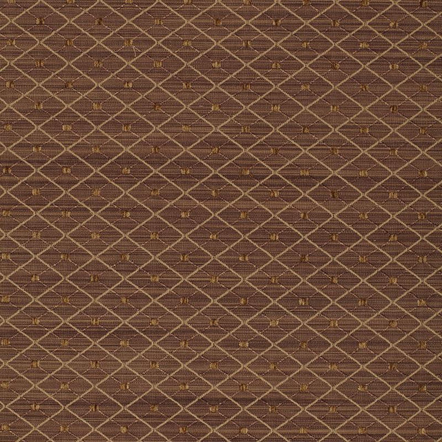 Schumacher Lasalle Mocha Fabric