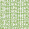 Schumacher Chinois Fret Green/White Fabric