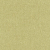 Schumacher Stone Texture Fern Fabric