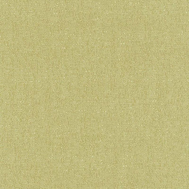 Schumacher Stone Texture Fern Fabric