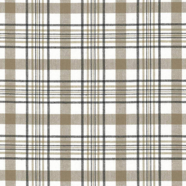 Kasmir Cicero Plaid Granite Fabric