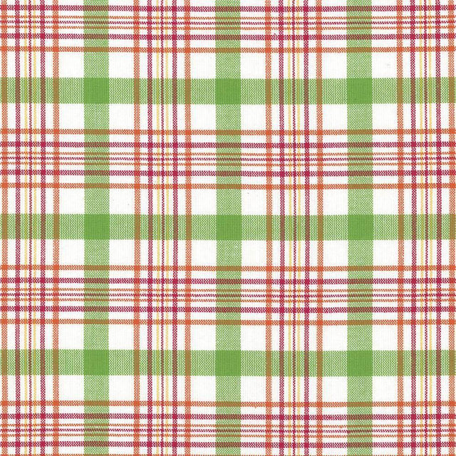 Kasmir Cicero Plaid Summer Fabric