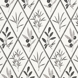 Schumacher Endimione Carbon Wallpaper