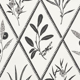 Schumacher Endimione Carbon Wallpaper