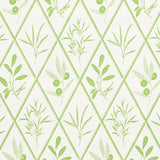 Schumacher Endimione Leaf Wallpaper