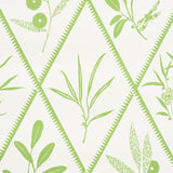 Schumacher Endimione Leaf Wallpaper
