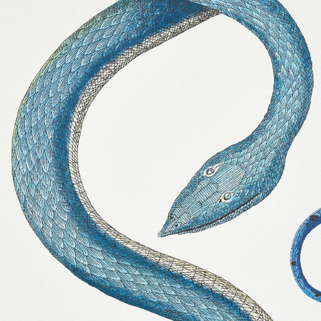 Schumacher Giove Emerald & Sapphire Wallpaper