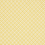 Schumacher Jamison Soleil Fabric