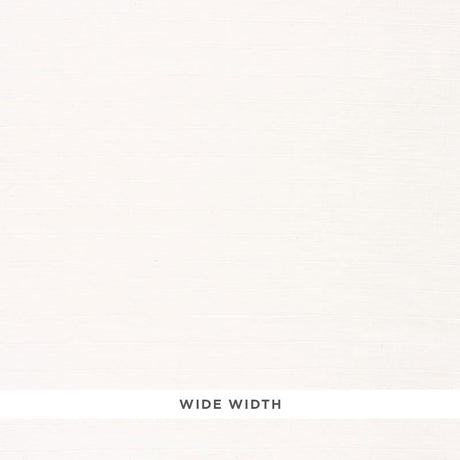 Schumacher Castillo Stripe Sheer White Fabric