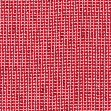 Schumacher Zipster Red & Pink Fabric
